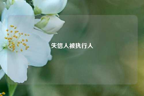 失信人被执行人